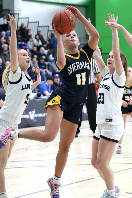 Post Journal 2026 Post-Journal/OBSERVER Girls Basketball Second Team All-Stars